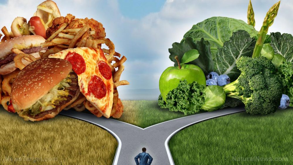 Diet, digestion and human evolution: Your ideal healthy diet depends on your genes
