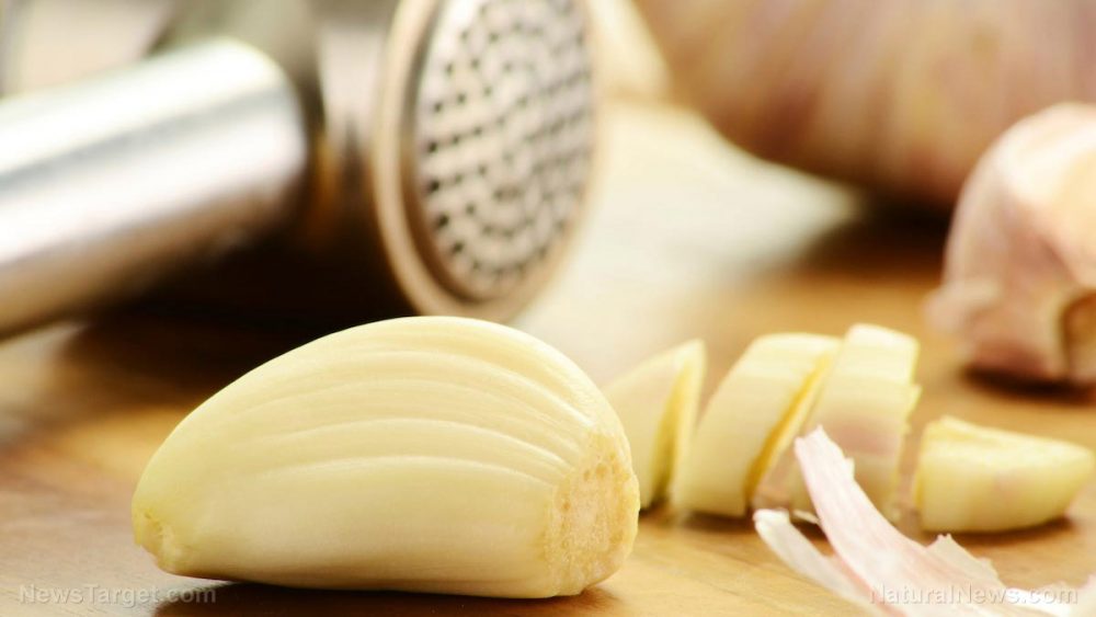 Fermented garlic may be the answer to obesity prevention, researchers discover