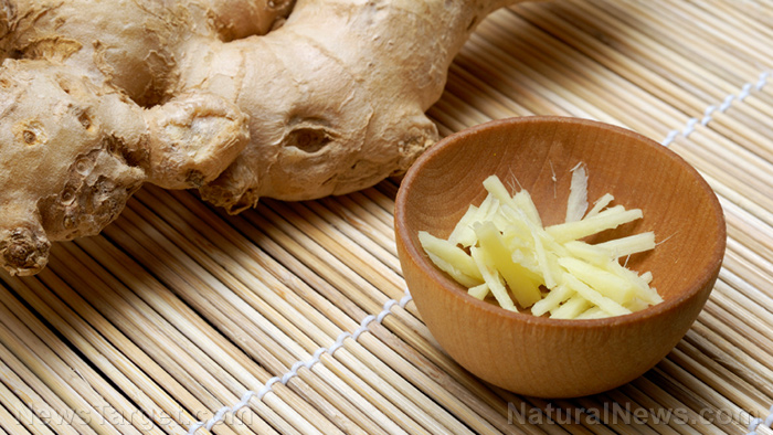Study evaluates the antitussive properties of ginger rhizome