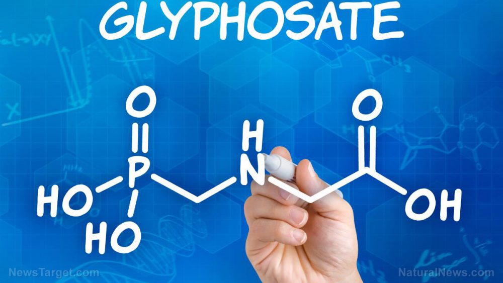 COVER-UP: Scientists who find glyphosate herbicide in common foods are silenced or reassigned