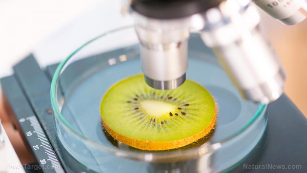 The amazing nutritional properties of kiwifruit
