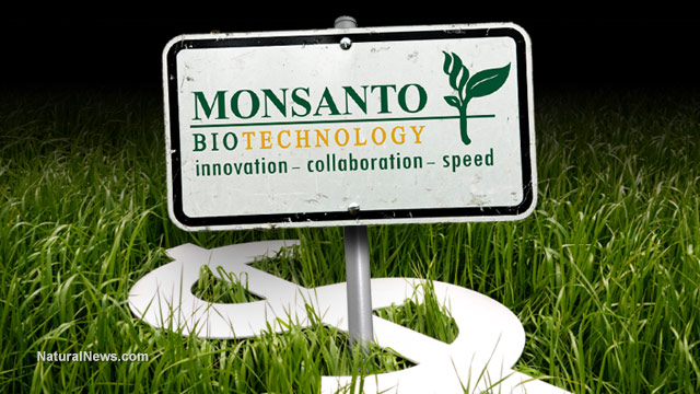 LAWSUIT: Monsanto hid the truth about glyphosate and cancer