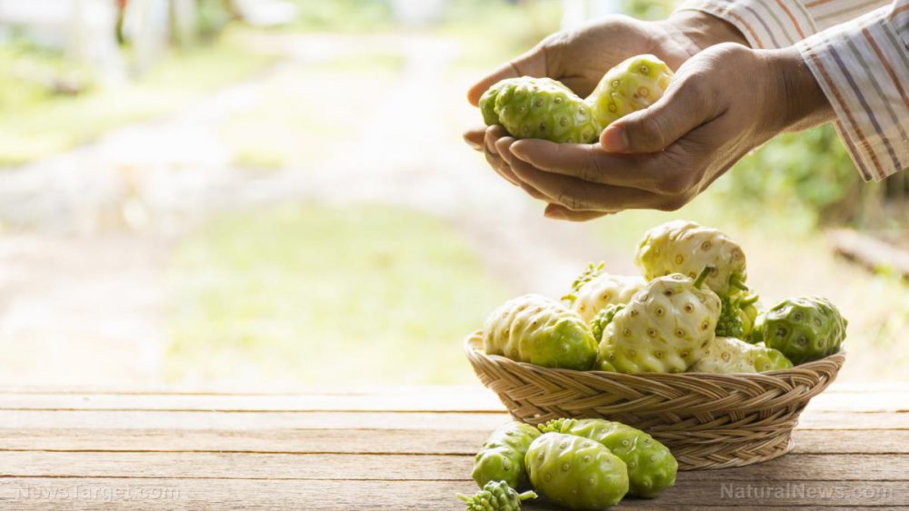Noni is great for your colon