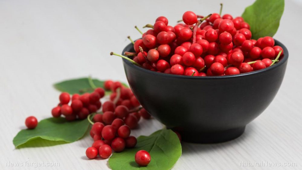 Negative effects of acetaminophen may be reduced with magnolia berry