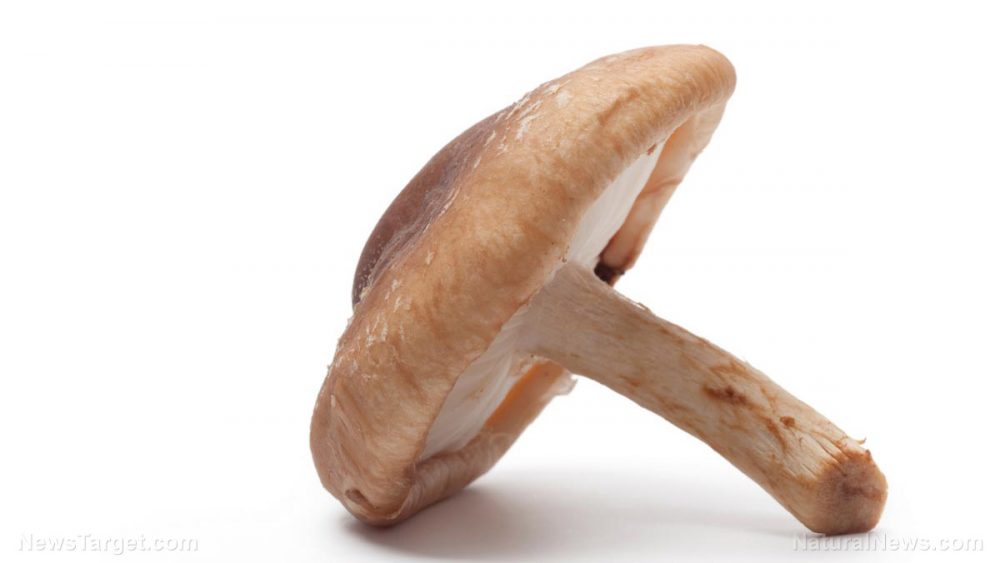 Study: Eating more shiitake mushrooms can reduce the effects of a high-fat diet
