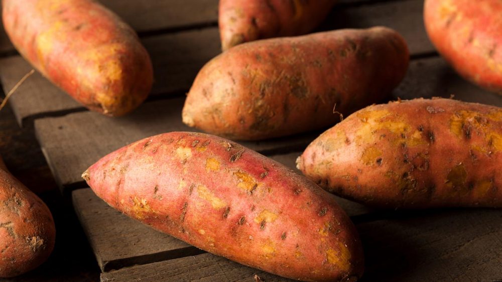 Scientists attempt to fight vitamin A deficiency in Africa by developing sweet potato-fortified bread