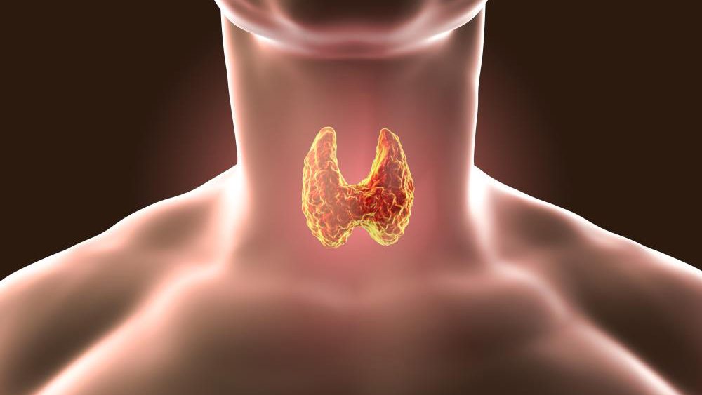 These are the foods you should avoid if you have an underactive thyroid