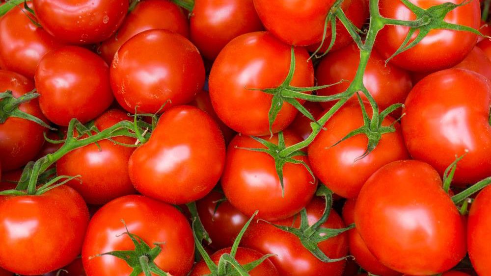 New perspective on the beneficial effects of lycopene in cardiovascular health