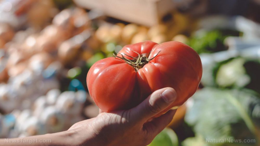 Lycopene, the pigment that gives tomatoes their color, is one of the most powerful anti-cancer agents yet discovered
