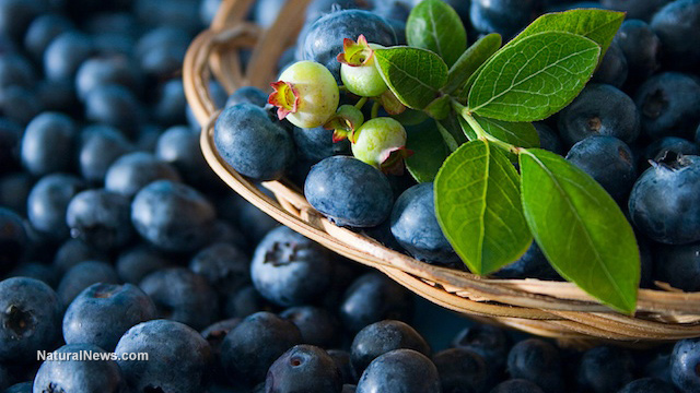 Wild blueberry juice provides cardioprotective effects for people at risk for type-2 diabetes