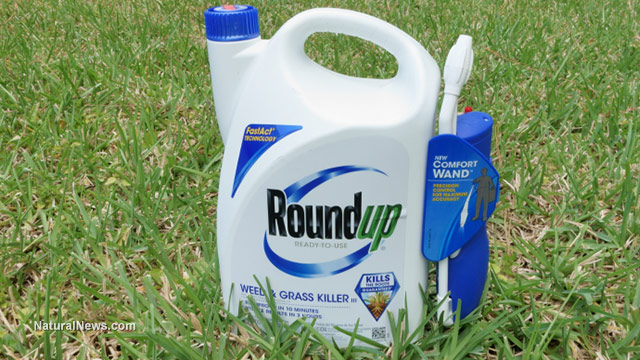 Roundup weedkiller more toxic than just glyphosate alone… alarming new findings reveal NON-active ingredients are poisons, too