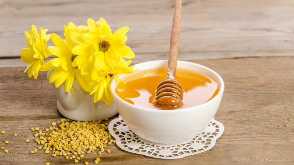 Bee pollen proven to be a “treasure trove of active natural metabolites” that benefit human health