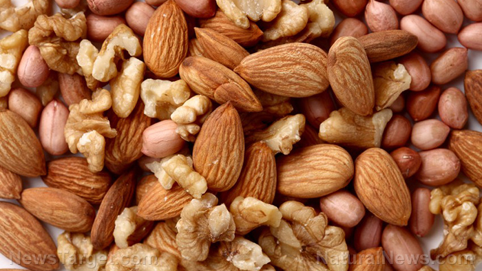 Eating nuts increases survival in colon cancer patients