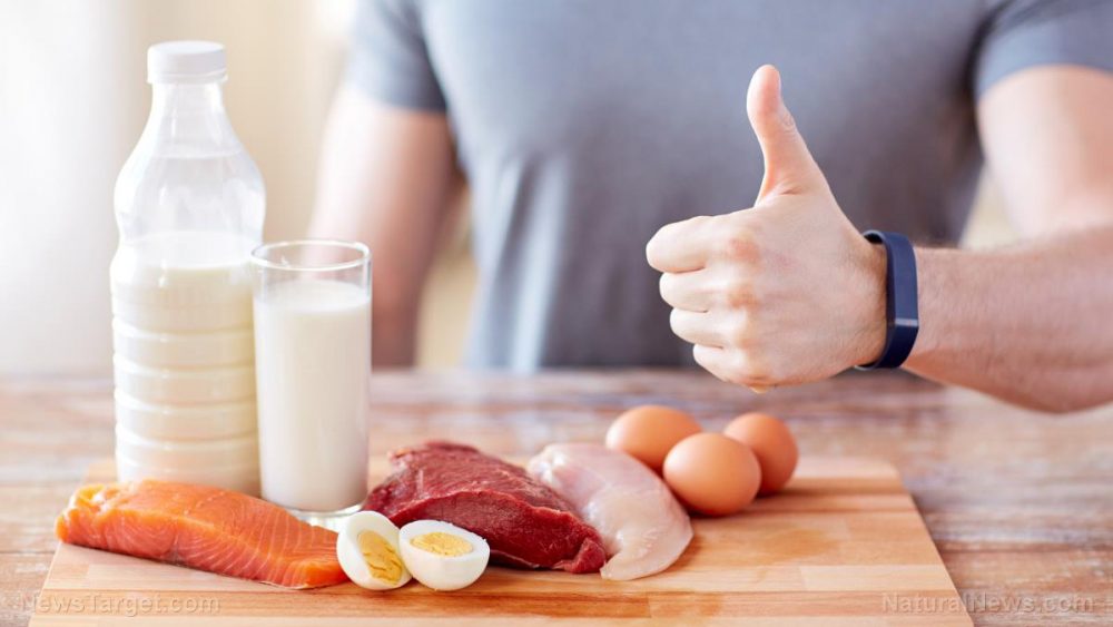 High-protein, low-calorie balanced diet found to reduce weight, release toxins, reduce oxidative stress