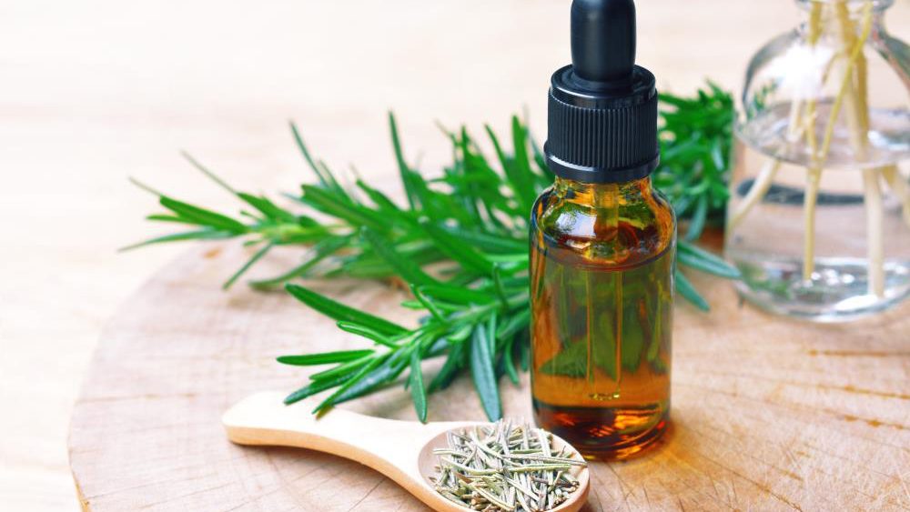 The therapeutic potential of rosemary