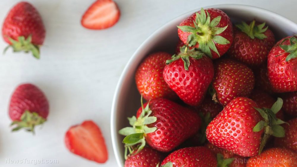 Organic strawberries found to stop the growth of cancer cells