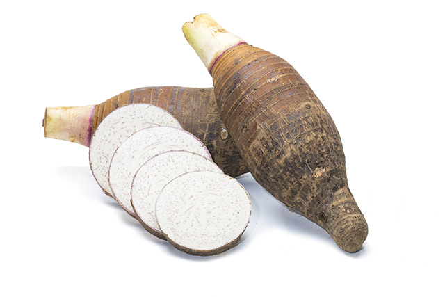 Taro leaves, also known as elephant ears, can be used as prebiotics for animals when pre-treated with enzymes
