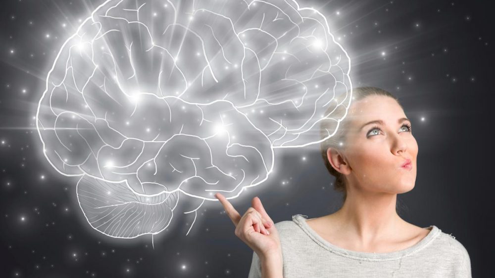 Ginkgo biloba, resveratrol, and cacao beans scientifically proven to combat cognitive decline