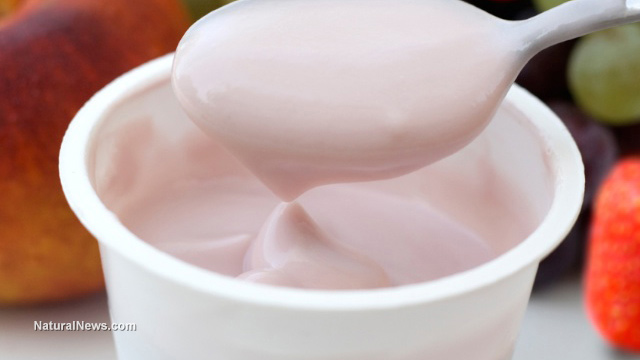 Is yogurt the key to reversing depression?