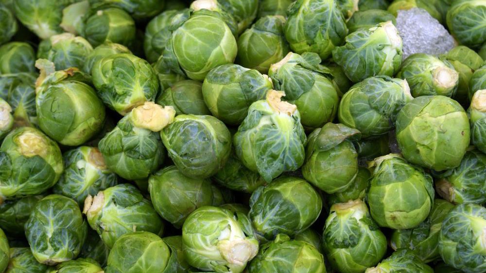 Brussels sprouts found to reduce your risk of cancer