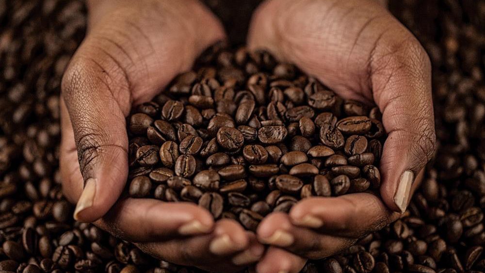 Compounds in coffee found to fight off Parkinson’s and Lewy body dementia
