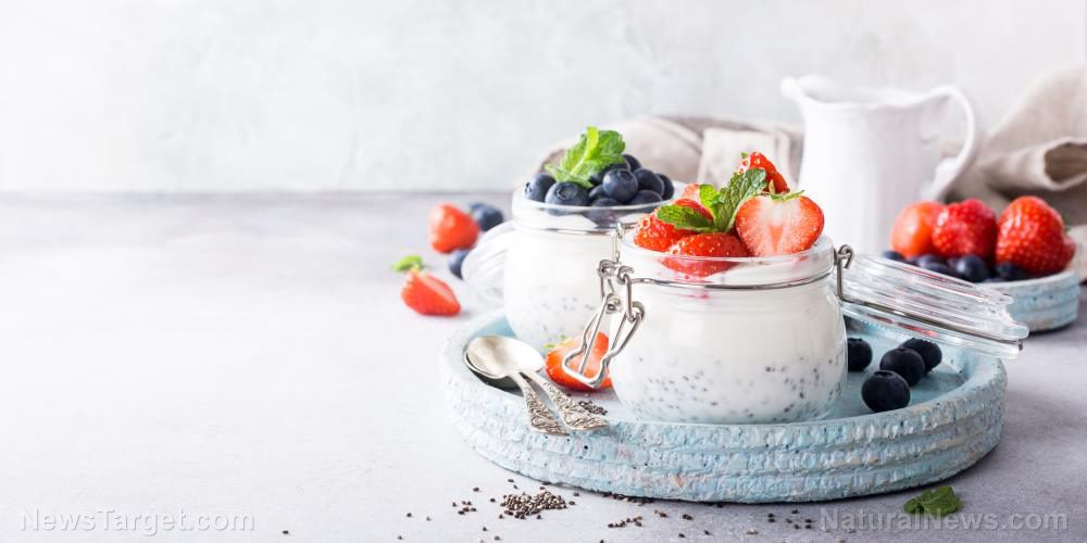 5 Great reasons to snack on yogurt before bed