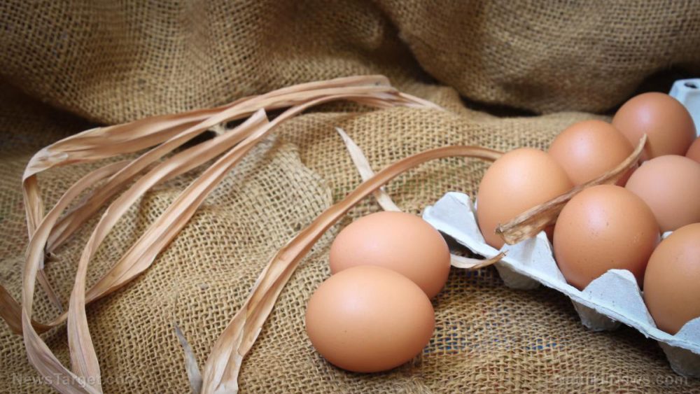 Eggs in a basket: 10 Methods for preserving eggs