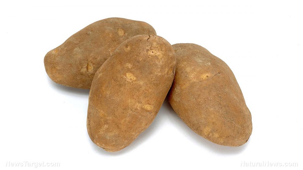 GMO scientist admits to worrying about the negative side effects of GM potatoes