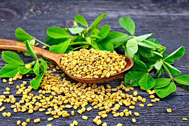 Combination of fenugreek seeds and garlic found to exhibit cardioprotective properties