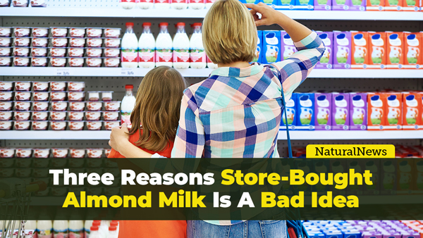 3 reasons why store-bought almond milk is a bad idea