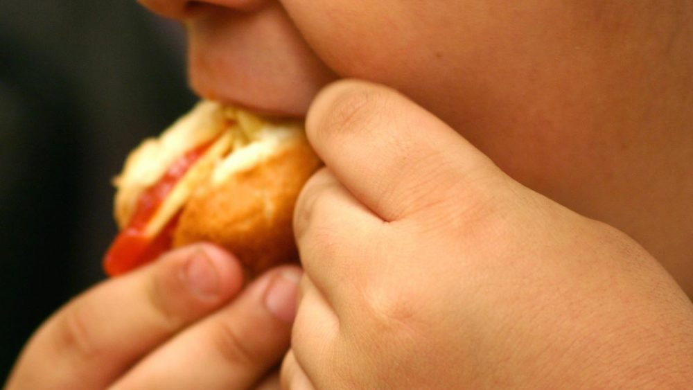 People who do not have adequate access to food are more likely to be obese, new study reveals