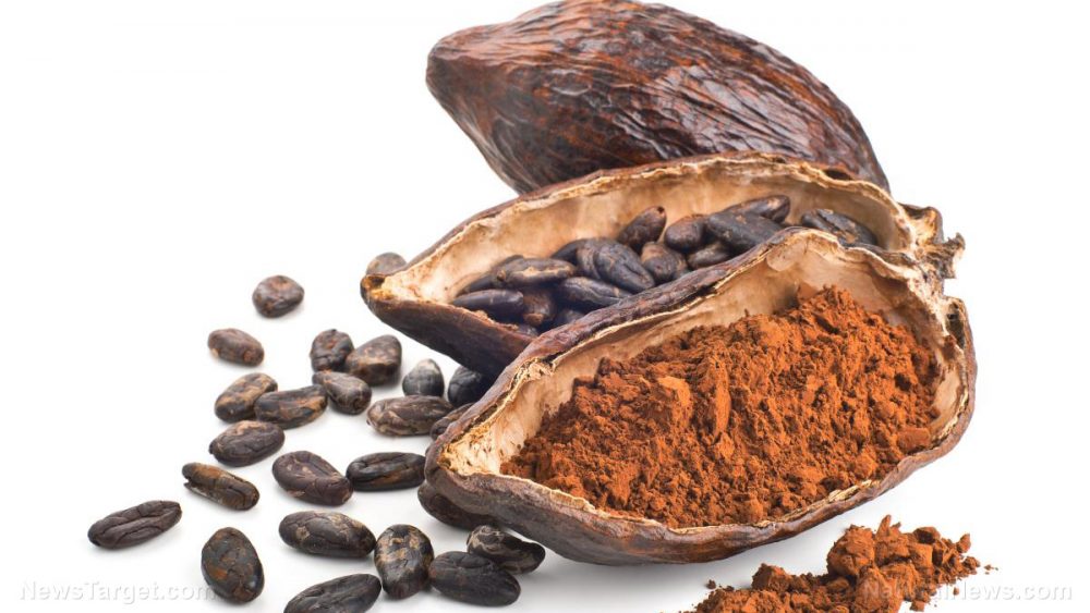 Go for the original: Cacao offers more health benefits than regular chocolate