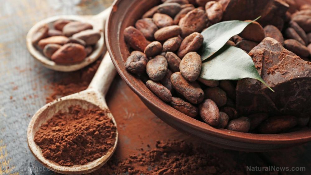 Delicious medicine: Compounds in chocolate are good for your heart