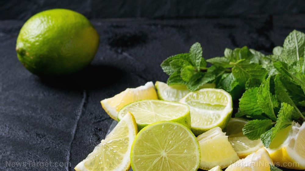 Modified citrus pectin can minimize heavy metal toxicity, reveals study