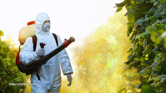 Pesticide safety: Flawed risk assessment tests were driven by too much industry influence