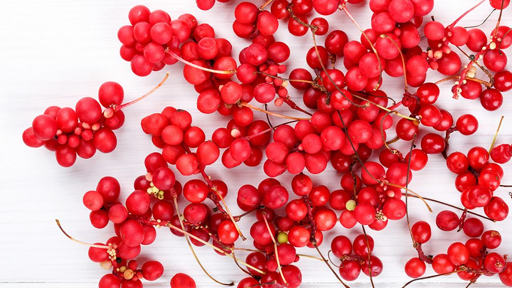 Understanding the neuroactive effects of five-flavor berry