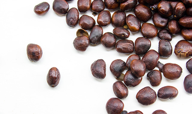 Tamarind seeds exhibit anti-hyperglycemic and anti-hyperlipidemic properties – study
