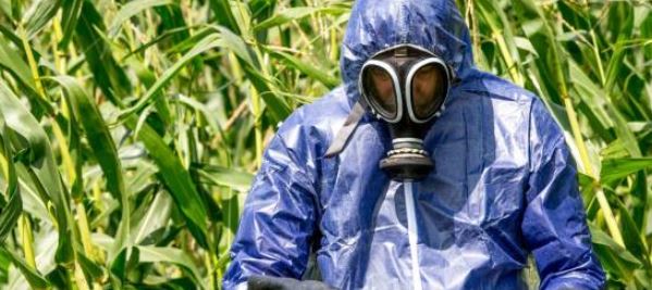 EVERY Kosher company should BAN GMO, since Bayer/Monsanto created the deadly gases of the Holocaust death chambers