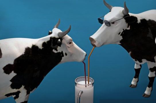 Dairy industry to DISAPPEAR in 10 years?