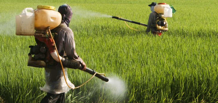 The hidden truth about glyphosate EXPOSED, according to undeniable scientific evidence