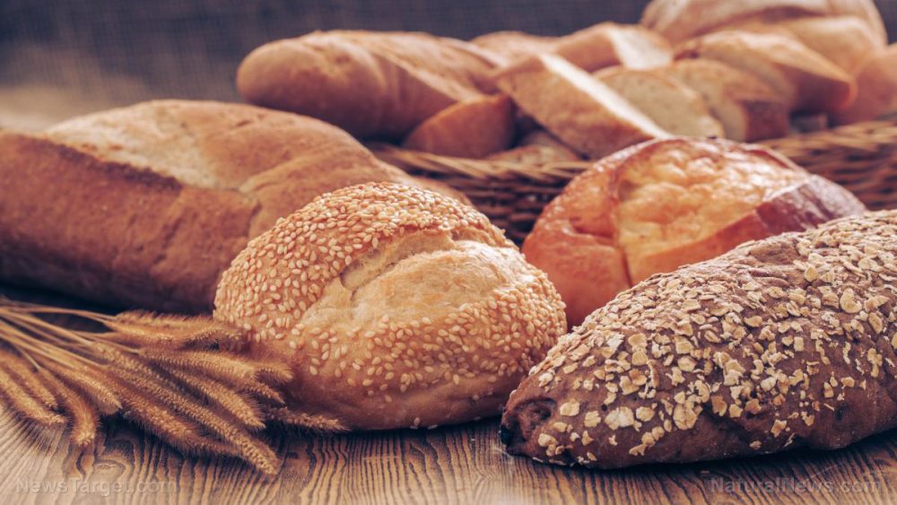 Does bread make you dumb? Gluten found to restrict blood flow to the brain, according to new research