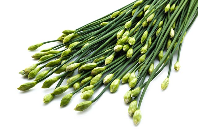 Chinese chives can improve kidney function