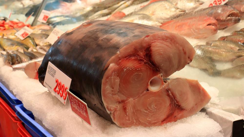 Eating polluted seafood can weaken your immune system, study concludes