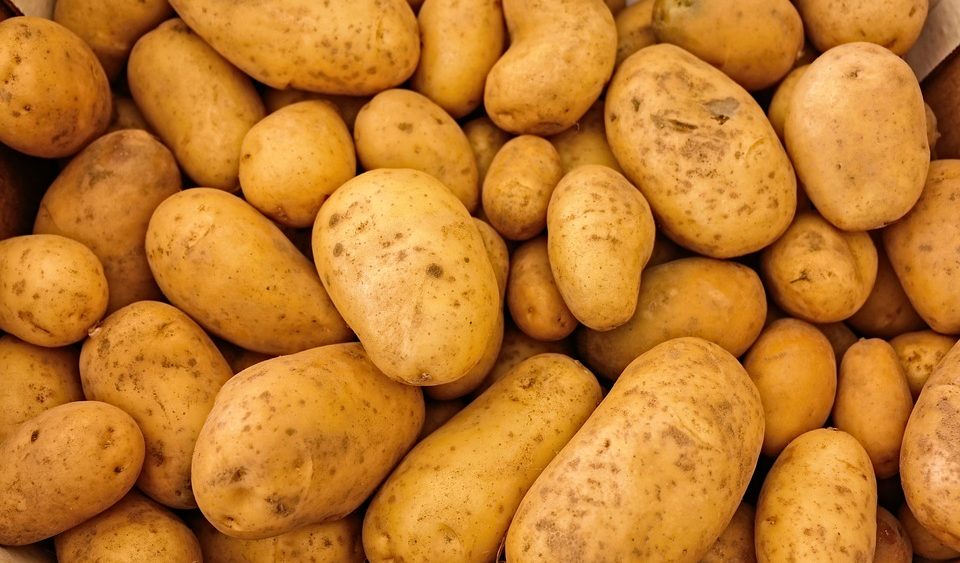 Get your potatoes fresh: Processing them means you lose up to HALF their nutrients