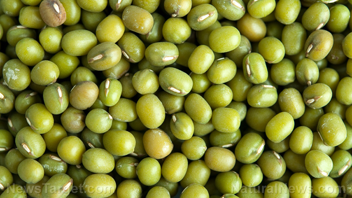 Mung beans offer a natural alternative for increasing organic carbon in soils for crops