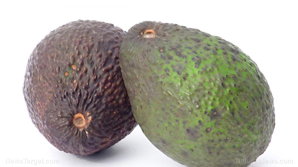 Not just for guacamole: Man robs two banks using an avocado… and nearly gets away with it