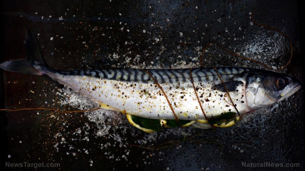 Alaskan vacation ends in mercury poisoning after man eats too much fish