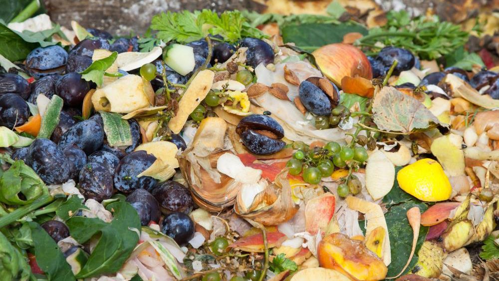 Ambitious study looks at converting food waste back into food