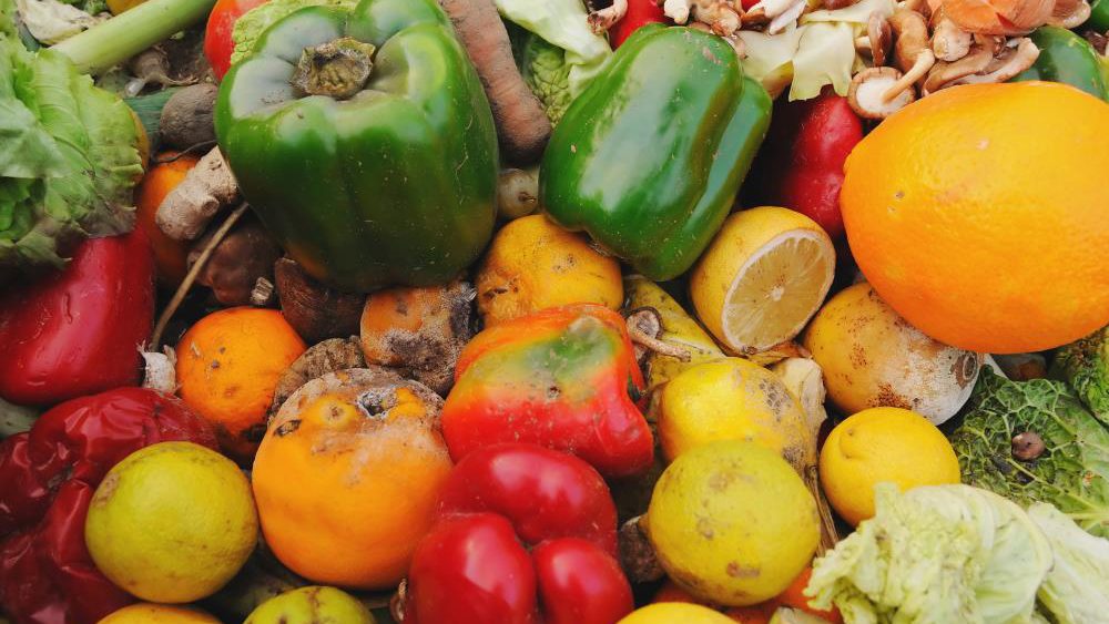 Study finds new use for food waste, reusing it as feed, bioplastic