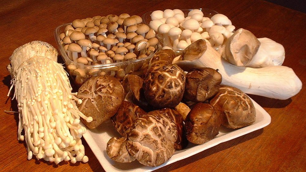 Eating 2 servings of mushrooms can protect cognitive function and keep